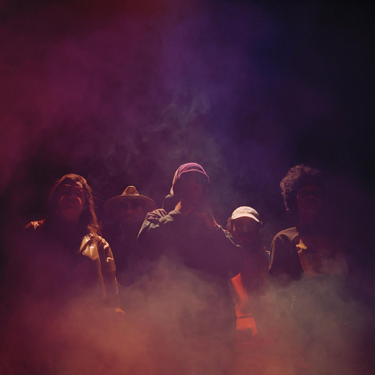 The Lasso - 2121 (PRINCE PURPLE VINYL) | Vinyl