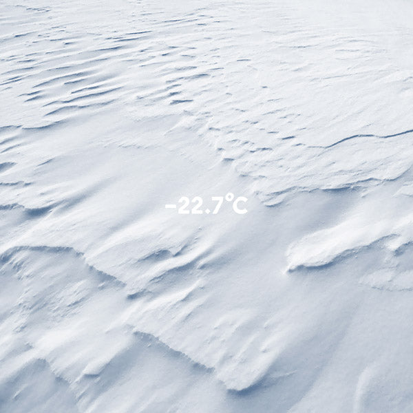MOLECULE - -22.7°C | Vinyl