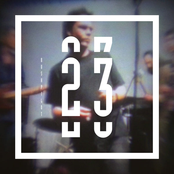 BUSHPILOT - 23 | Vinyl