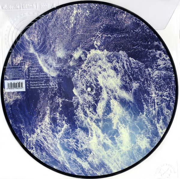 MOLECULE - 981 MB | Vinyl