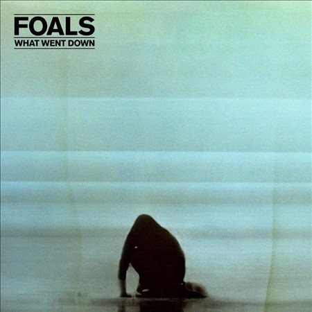Foals | WHAT WENT DOWN | CD