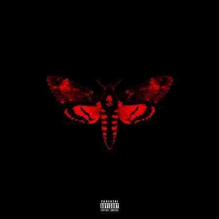 Lil Wayne | I AM NOT A II(EX-DLX | CD