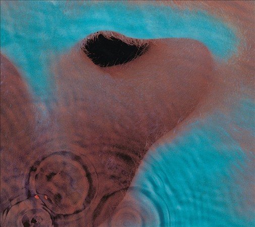 Pink Floyd | Meddle (Remastered) | CD