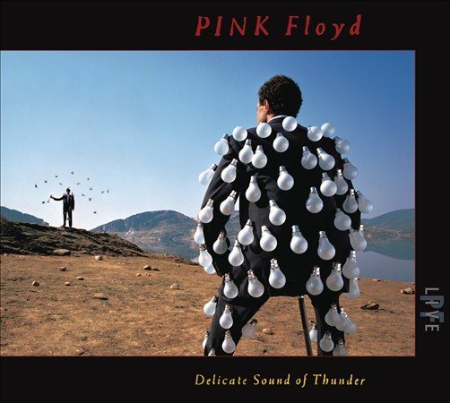 Pink Floyd | Delicate Sound Of Thunder (Live) (Digipack Packaging) (2 Cd's) | CD