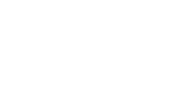 Record Stop