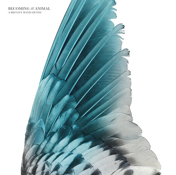BECOMING ANIMAL - A Distant Hand Lifted | Vinyl