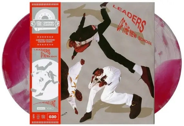 LEADERS OF THE NEW SCHOOL - A Future Without A Past | Vinyl