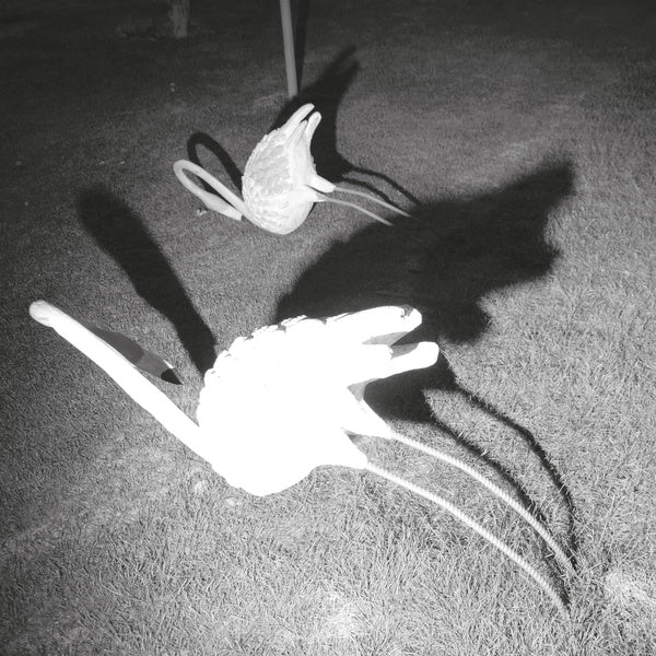SIAVASH AMINI - A Mimesis of Nothingness | Vinyl