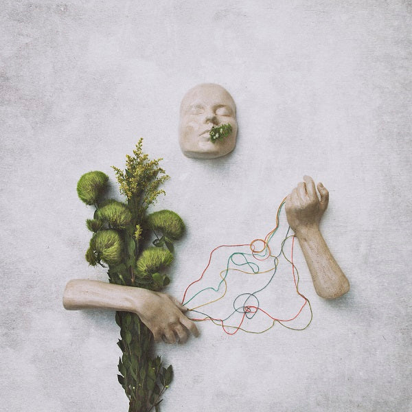 red steppes - A Mouth May Grow | Vinyl