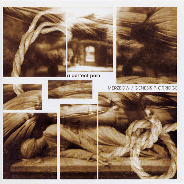 MERZBOW/GENESIS BREYER P-ORRIDGE - A Perfect Pain | CD