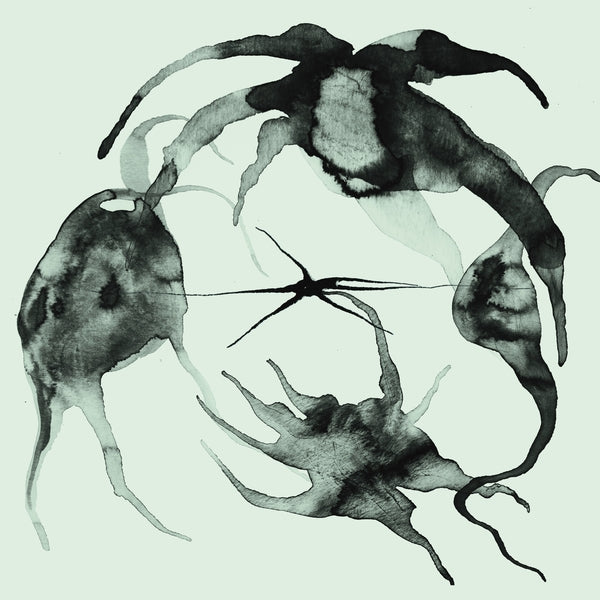 KASSEL JAEGER - A Rift In the Horizon's Wall | Vinyl