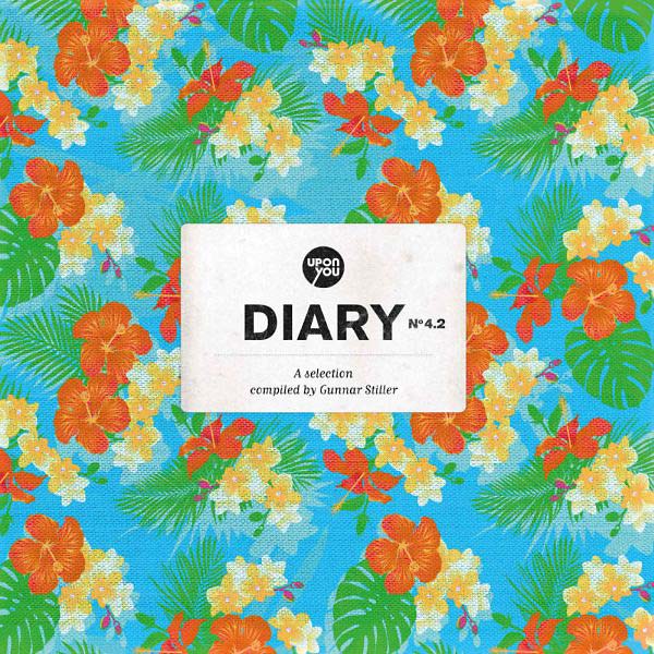 VA | A Selection of Diary 4.2. | Vinyl