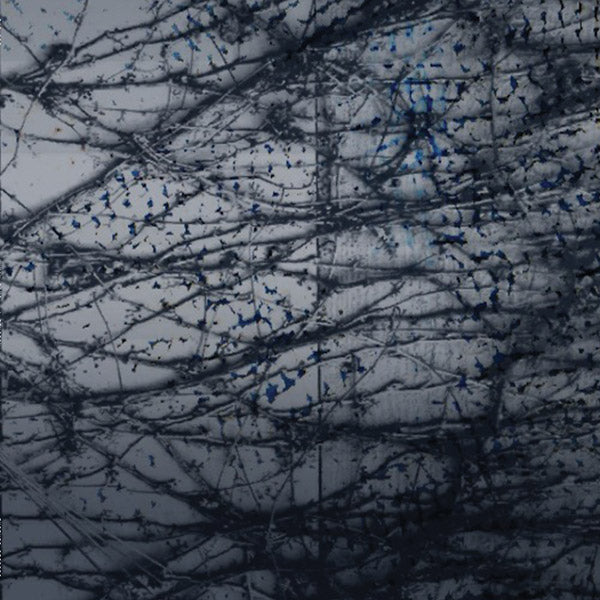 HUMAN RAYS - A Tension | Vinyl