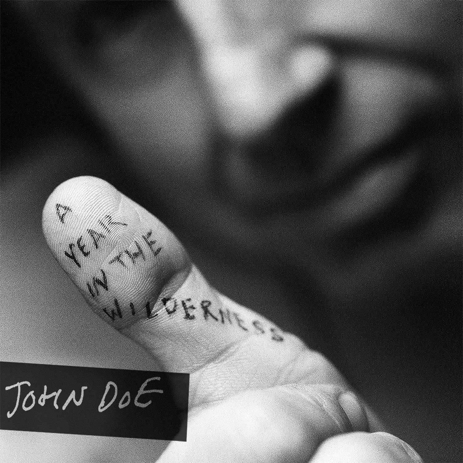 John Doe | A Year In The Wilderness | CD