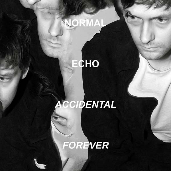 NORMAL ECHO - Accidental Forever | Vinyl