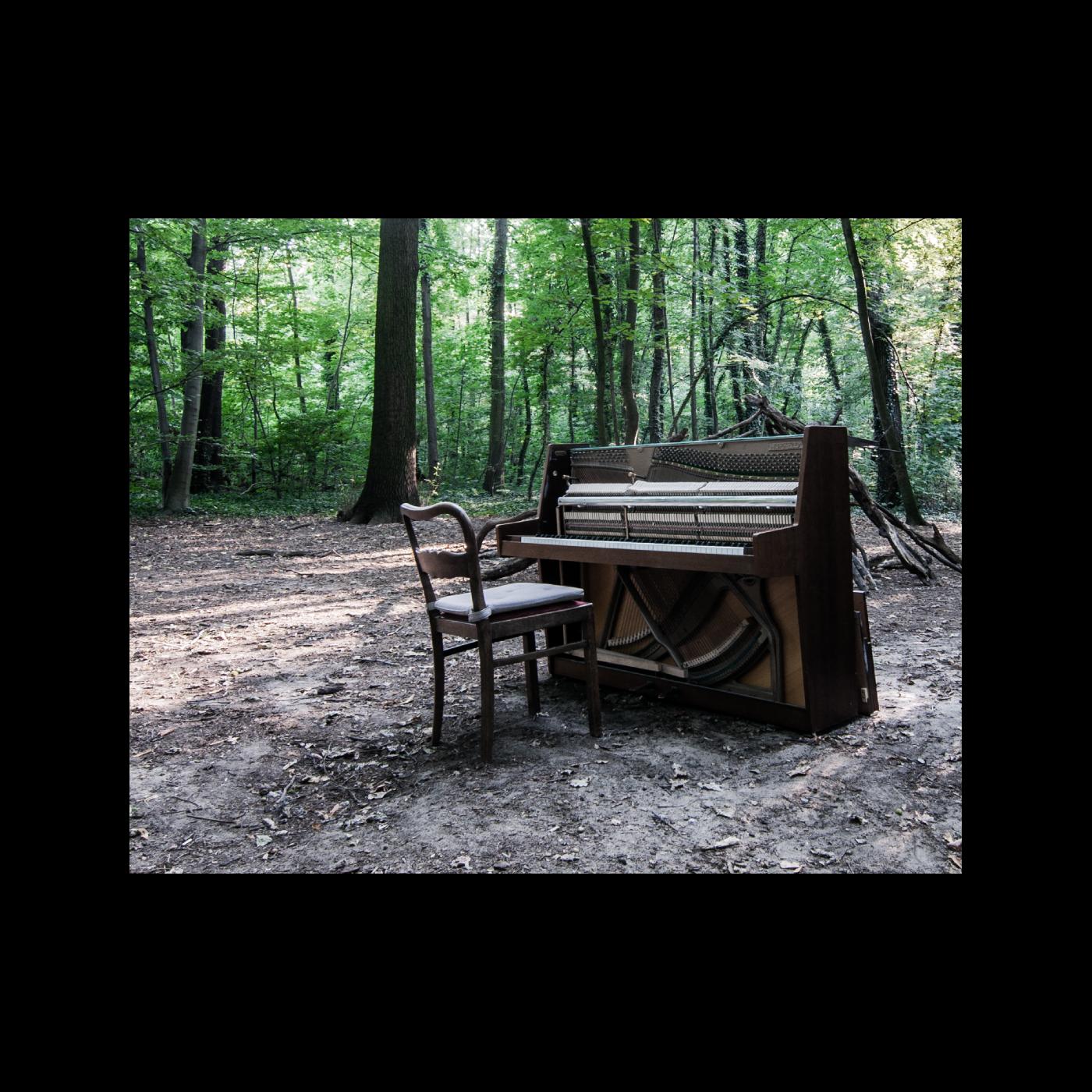 The Eye Of Time | Acoustic II | Vinyl