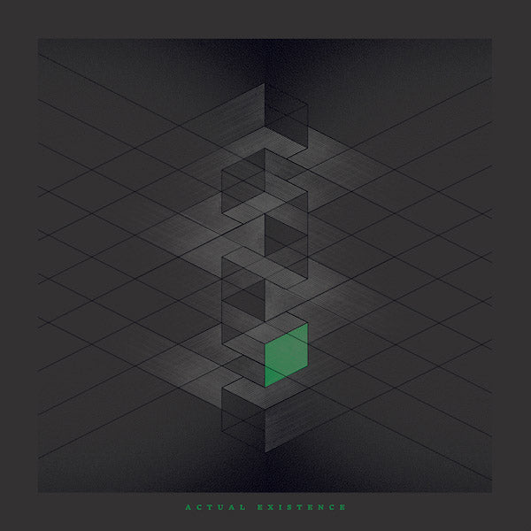 RLYR - Actual Existence | Vinyl