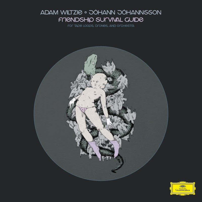 Adam Wiltzie/Johann Johannsson - Friendship Survival Guide [CD] | CD