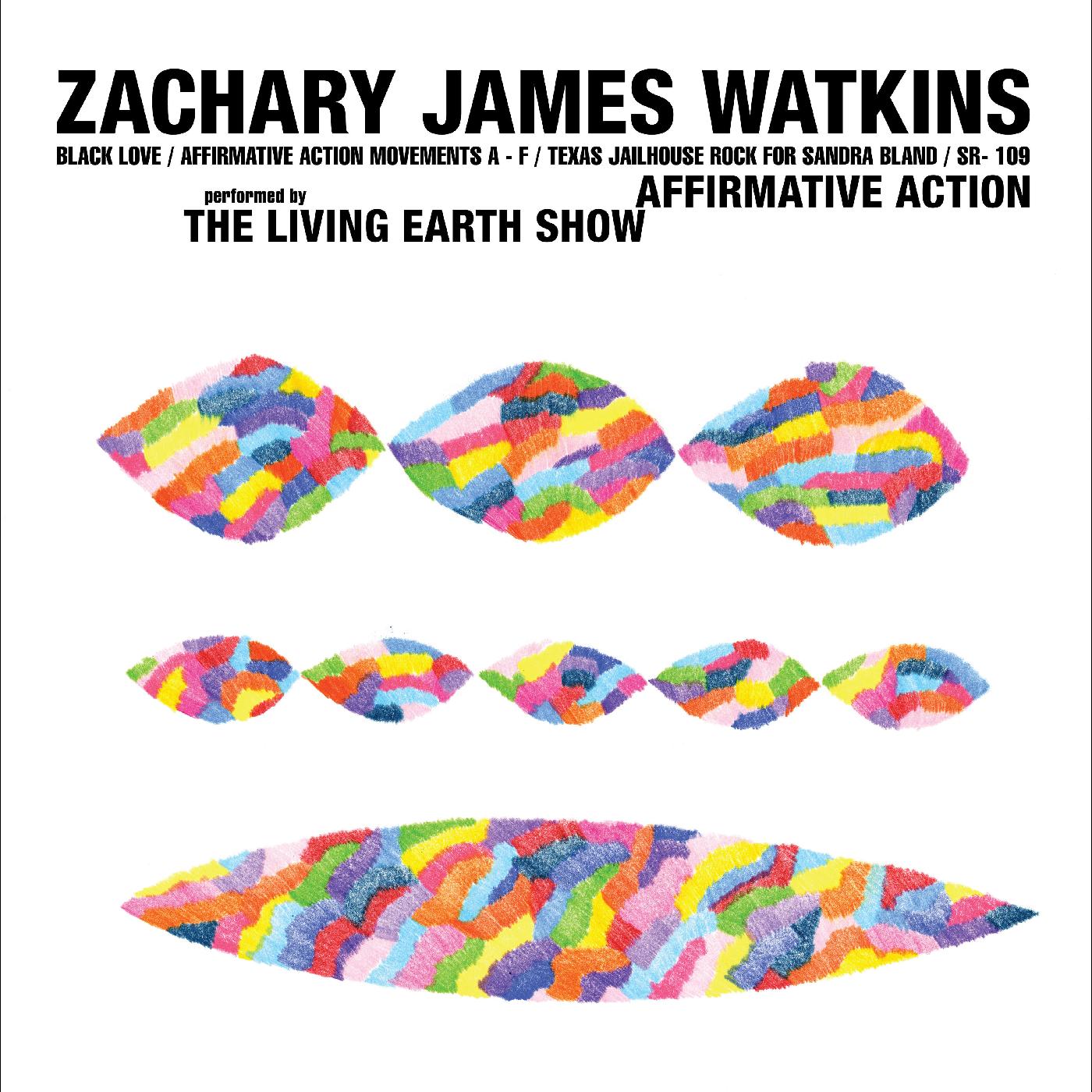Zachary James Watkins | Affirmative Action | Vinyl