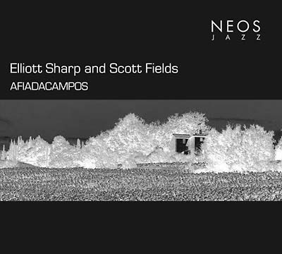 ELLIOTT SHARP & SCOTT FIELDS - Afiadacampos | CD
