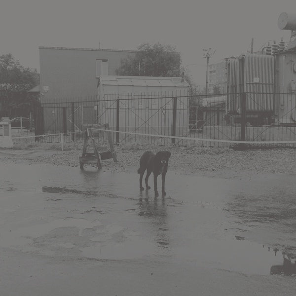 NIVHEK | After Its Own Death / Walking In A Spiral Towards The House | CD
