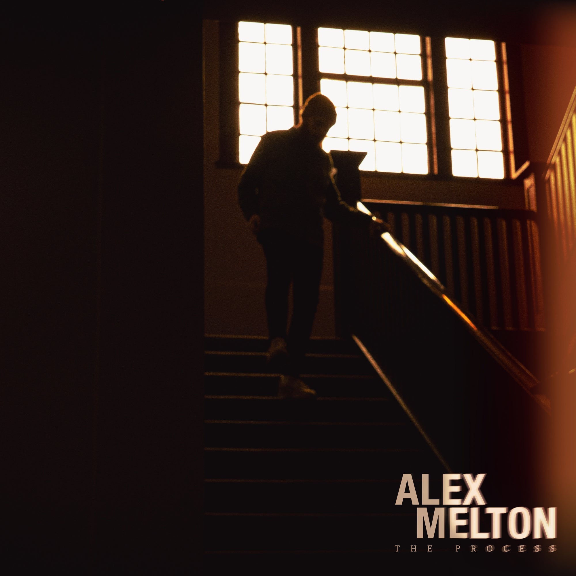 Alex Melton | The Process [Tigers Eye Marble] | Vinyl
