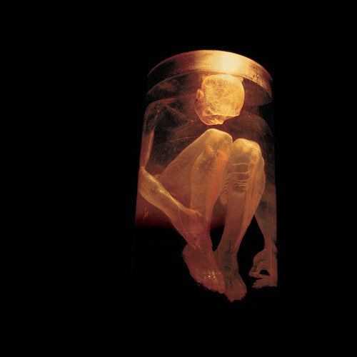 Alice in Chains - Nothing Safe: The Best of the Box | CD