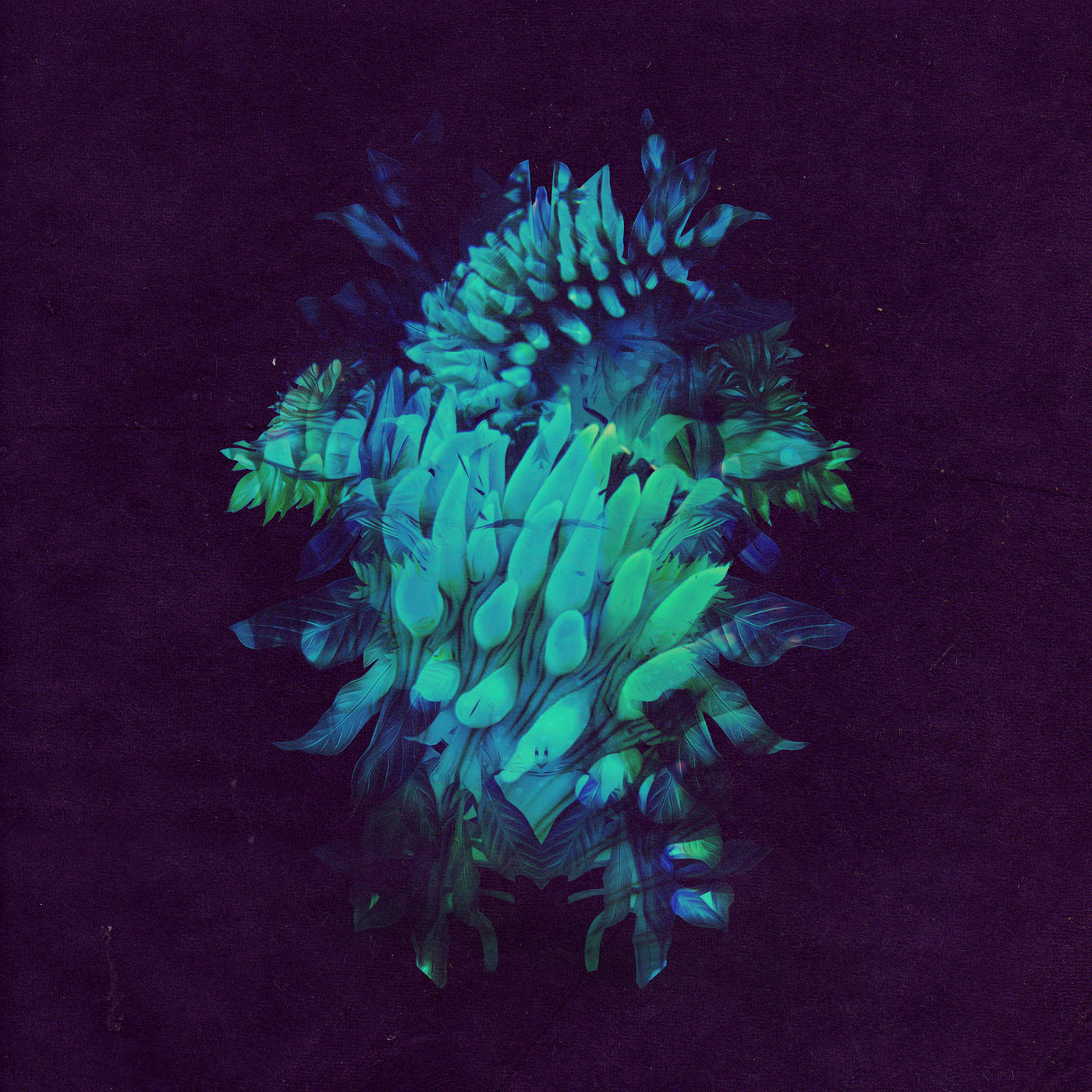Fakear - All Glows | CD