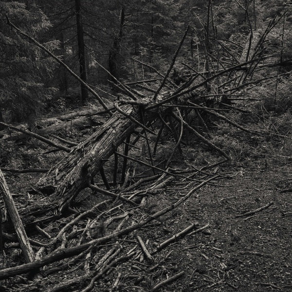 SULT - Always I Gnaw | Vinyl