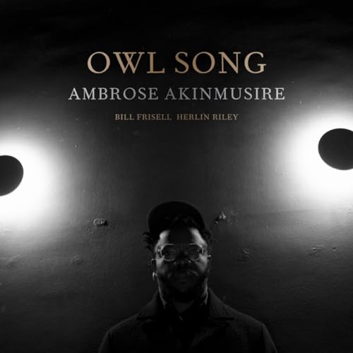 Ambrose Akinmusire - Owl Song | Vinyl