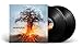 AMORPHIS - SKYFORGER | Vinyl