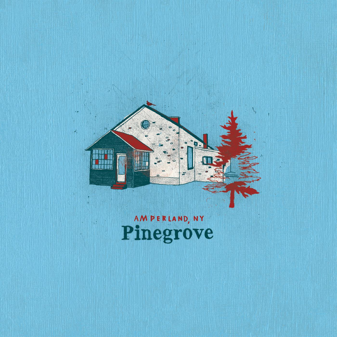 Pinegrove | Amperland, NY | CD