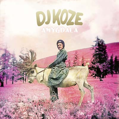 DJ KOZE - Amygdala | CD