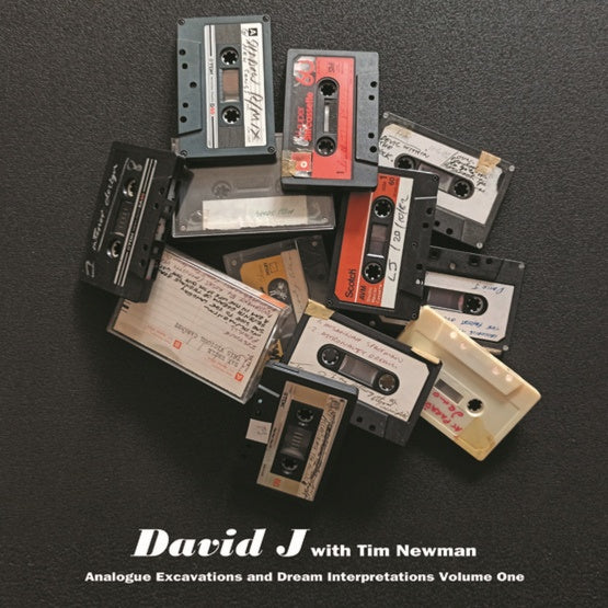 DAVID J WITH TIM NEWMAN - Analogue Excavations & Dream Interpretations Vol.1 | Vinyl