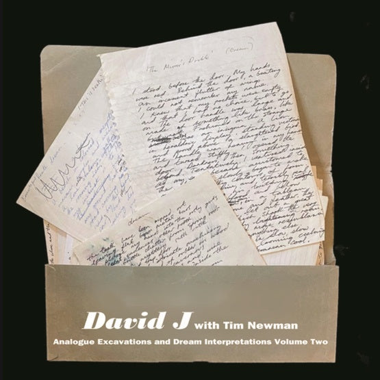 DAVID J WITH TIM NEWMAN - Analogue Excavations & Dream Interpretations Vol.2 | Vinyl