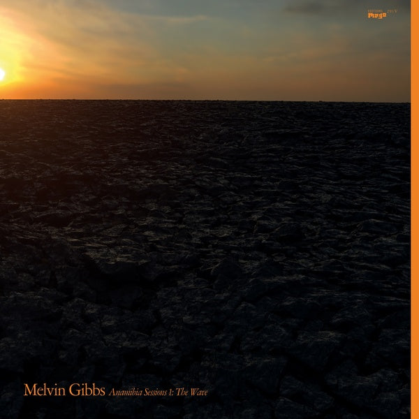 MELVIN GIBBS - Anamibia Sessions 1: The Wave | Vinyl