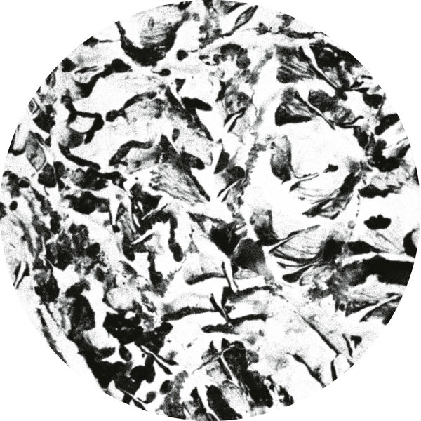 MATHIMIDORI - Anata EP | Vinyl