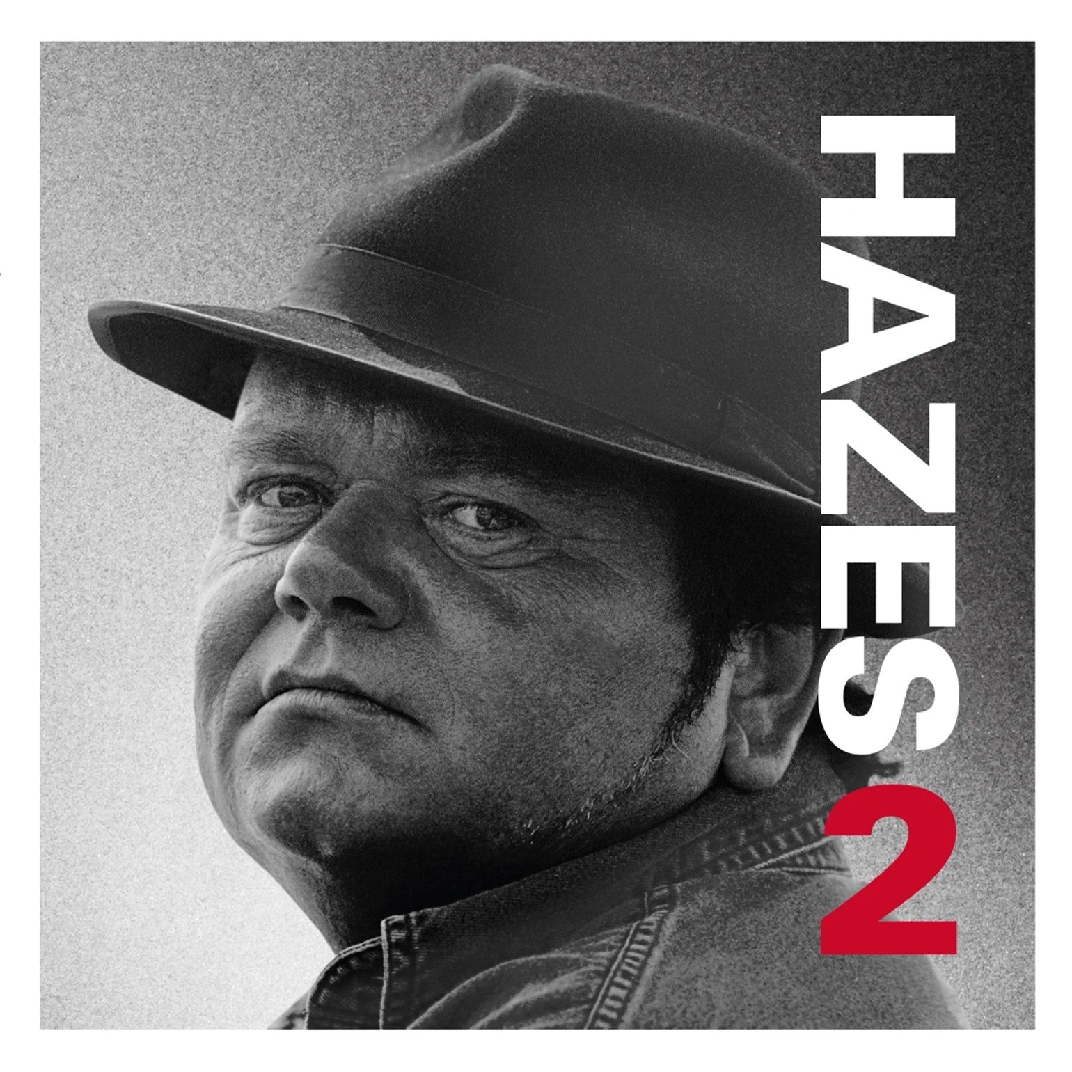 Andre Hazes - Hazes 2 [2LP] | Vinyl