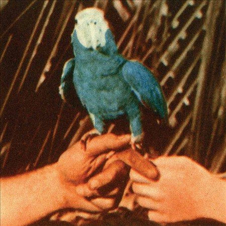 Andrew Bird - Are You Serious | Vinyl