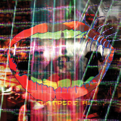 Animal Collective - Centipede HZ (MP3 Download) (2LP) | Vinyl