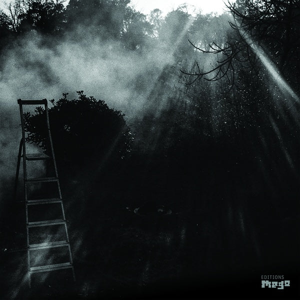 REINHOLD FRIEDL & ERYCK ABECASSIS - Animal Electrique | Vinyl