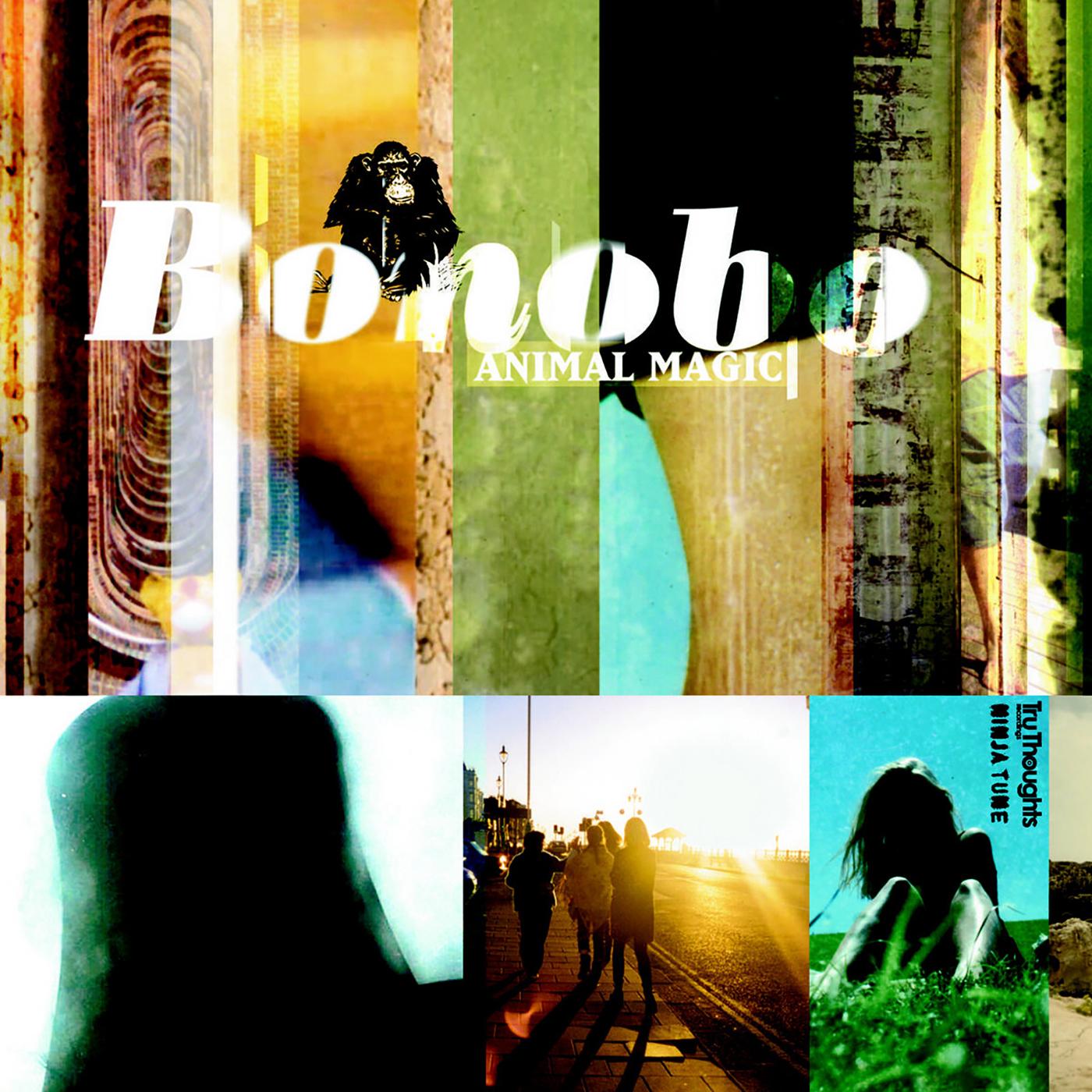 Bonobo | Animal Magic (YELLOW CASSETTE) | Dance & Electronic