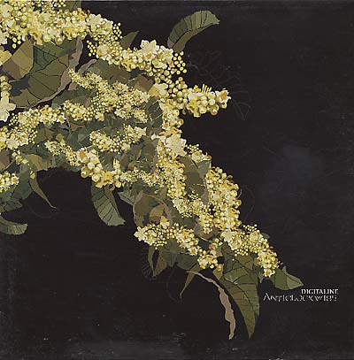 DIGITALINE - Anticlockwise | Vinyl