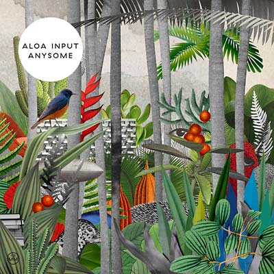 ALOA INPUT - Anysome | Vinyl