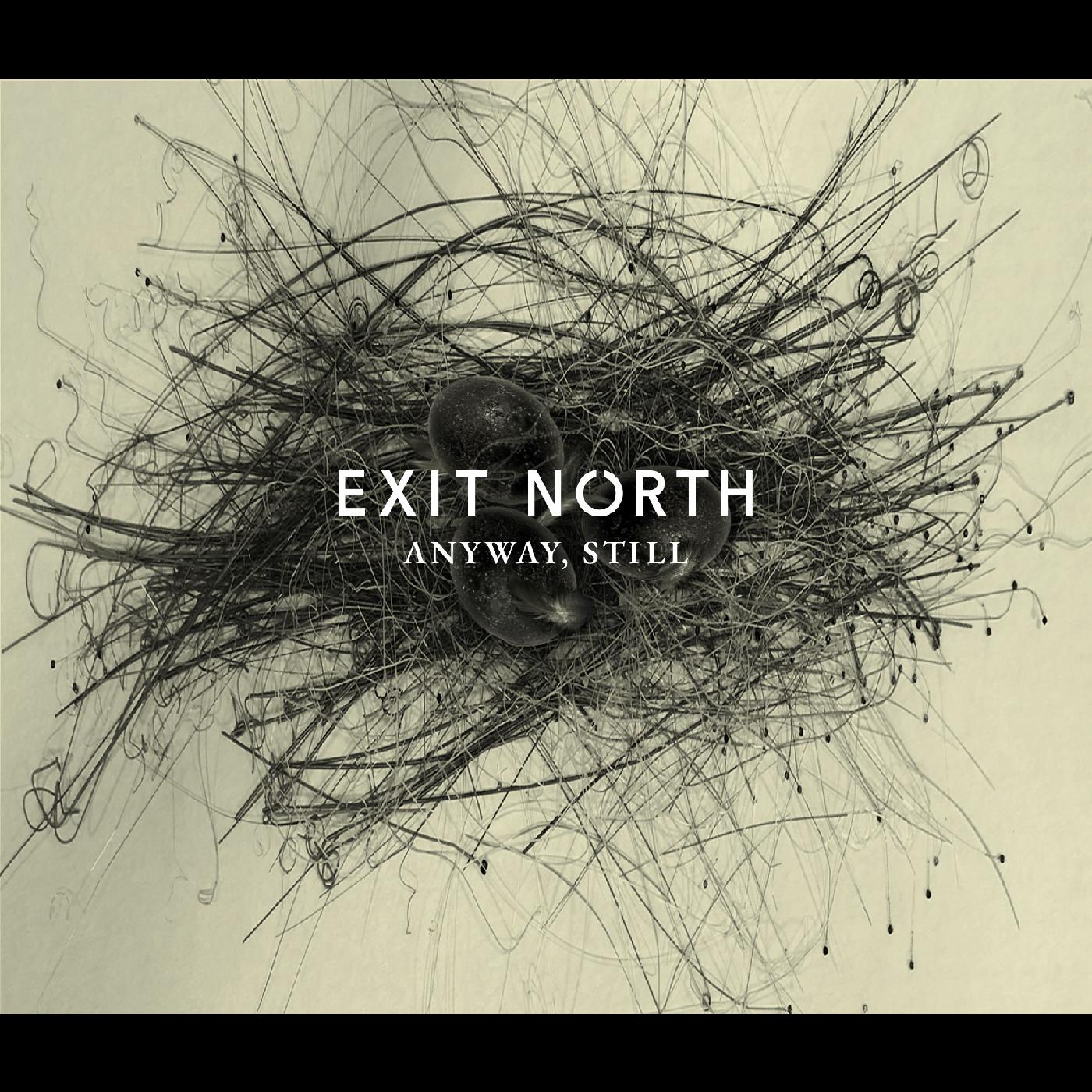 Exit North - Anyway, Still | Vinyl