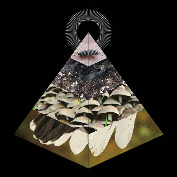 BELUS - Apophenia | Vinyl