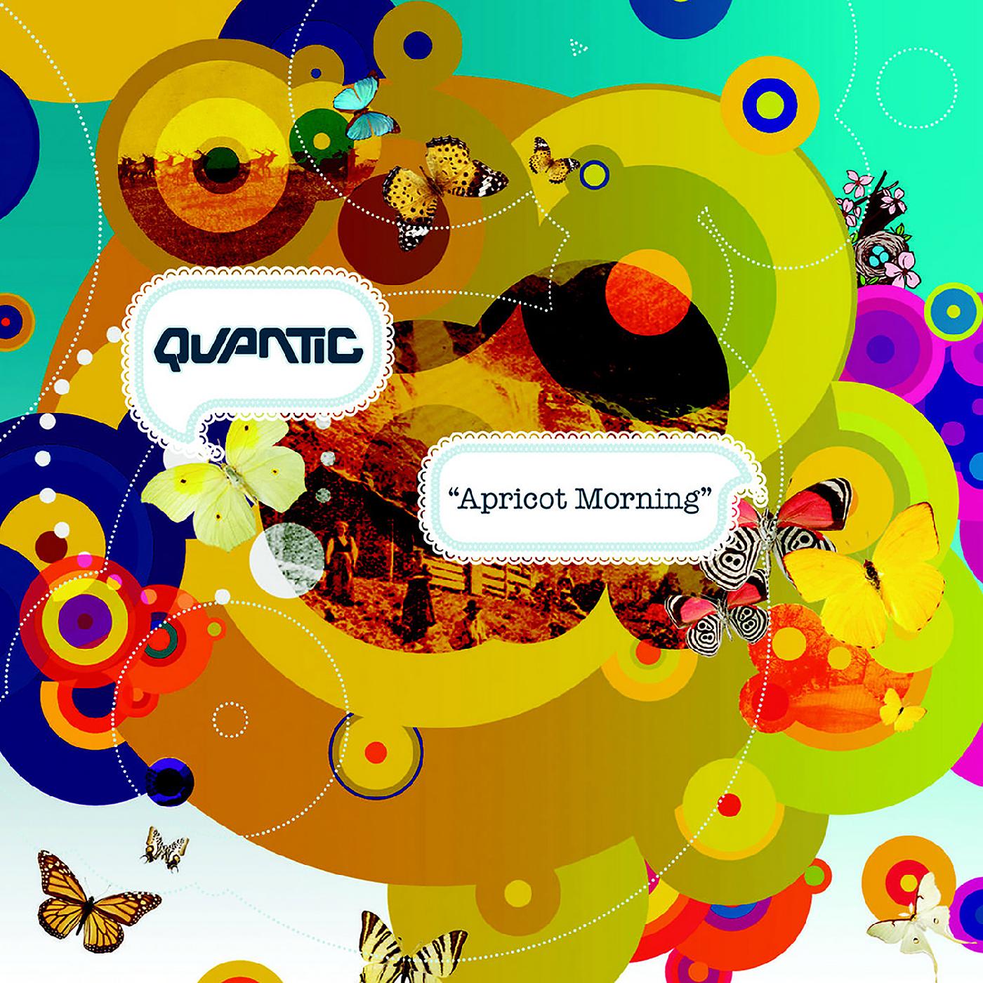 Quantic - Apricot Morning | Vinyl