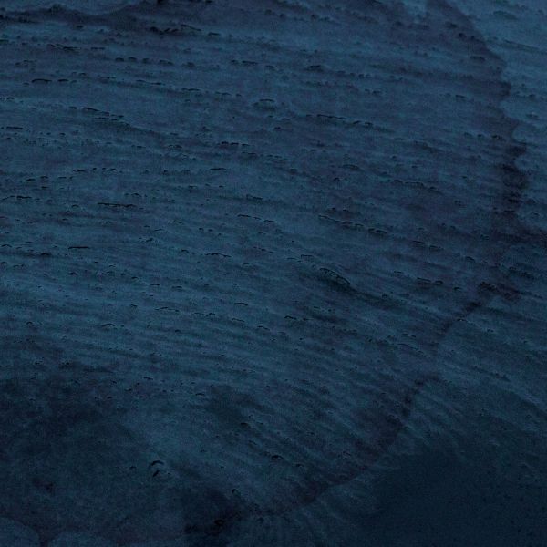 Multicast Dynamics - Aquatic System | Vinyl