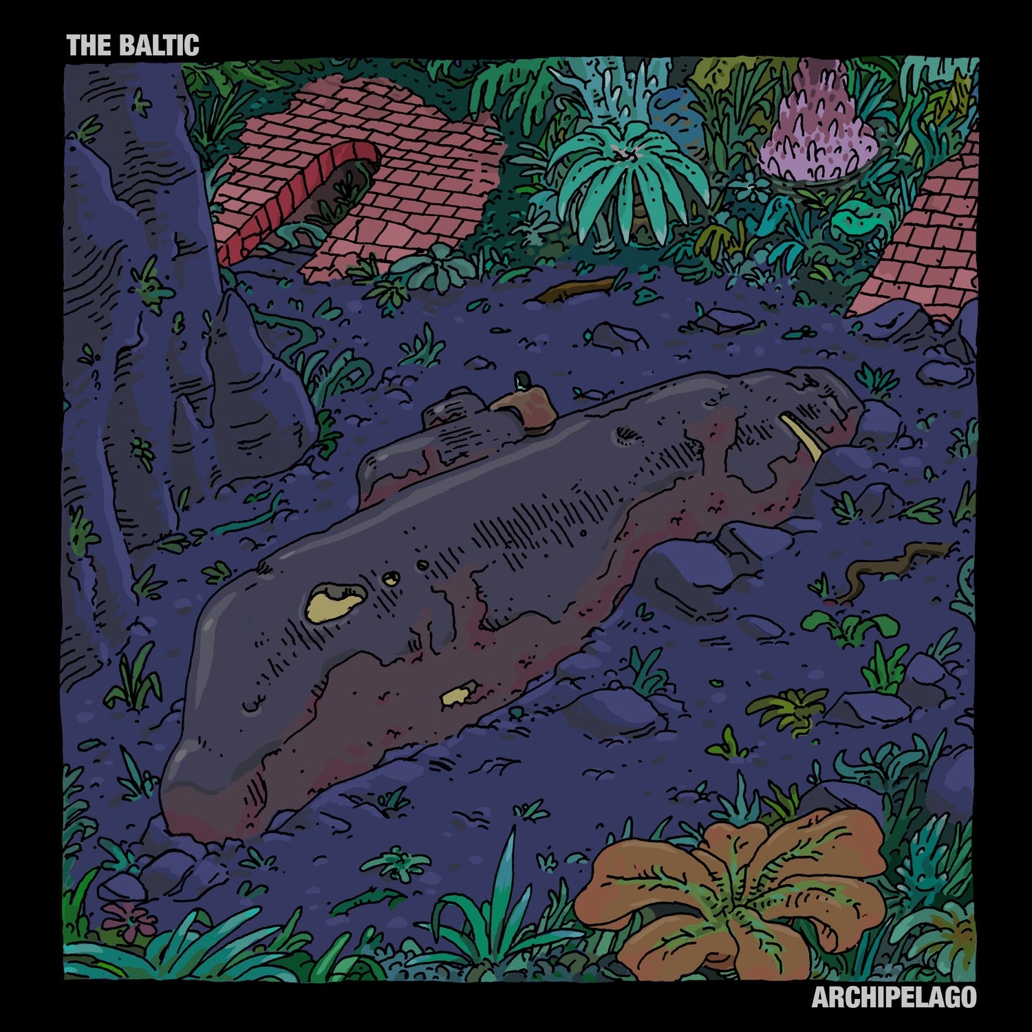 The Baltic - Archipelago | CD
