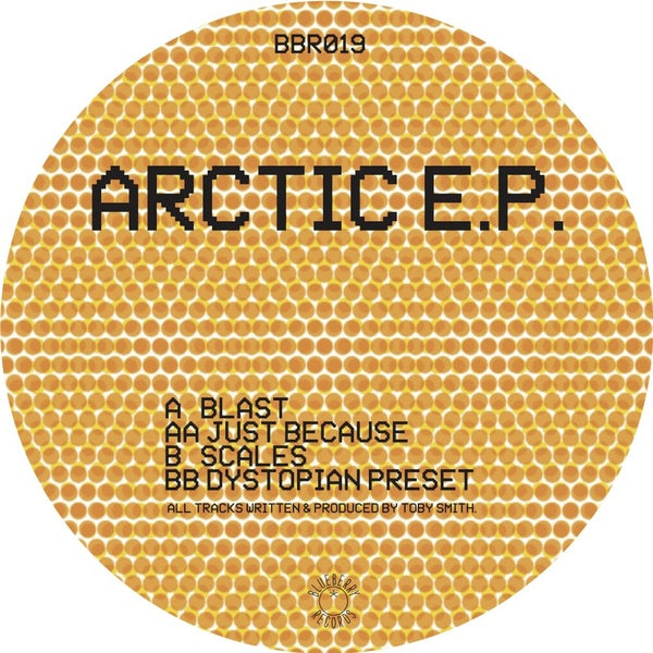 SECRET STATIC - Arctic EP | Vinyl